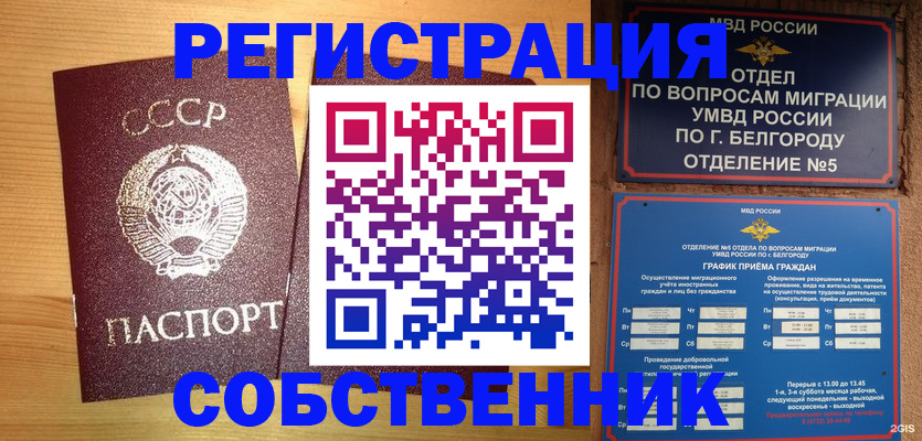 прописка 2025 в Апатитах